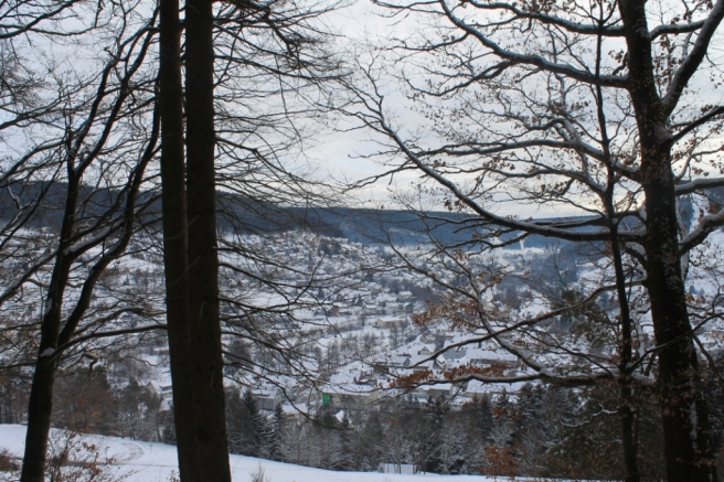 From a view point, Baiersbron through the trees.